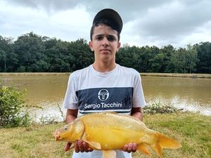 Mirror Carp