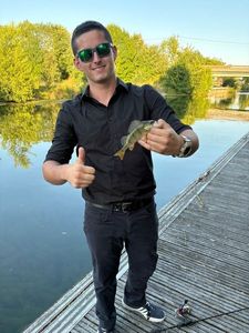 European Perch