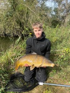 Common Carp