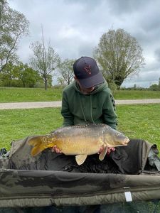Mirror Carp