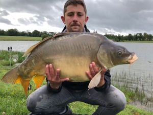 Mirror Carp