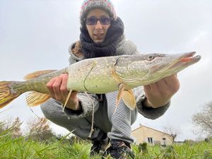 Northern Pike