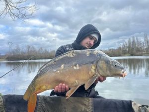 Mirror Carp