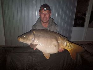 Mirror Carp