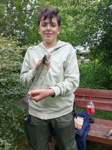 Rainbow Trout