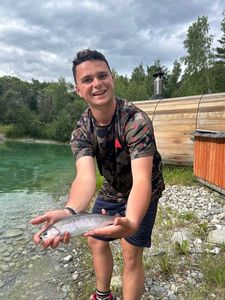 Rainbow Trout