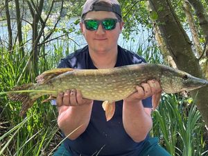 Northern Pike