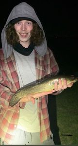 Bowfin