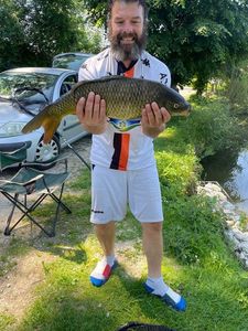 Common Carp