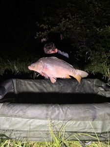 Leather Carp