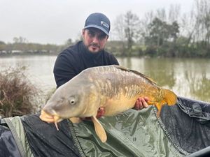Mirror Carp