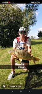 Common Carp