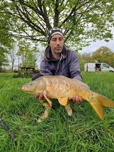 Mirror Carp