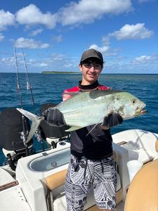 Bluefin Trevally
