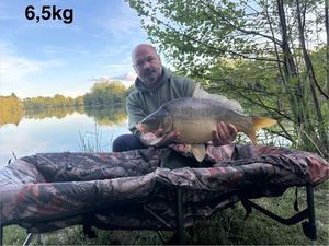 Leather Carp