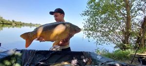 Mirror Carp