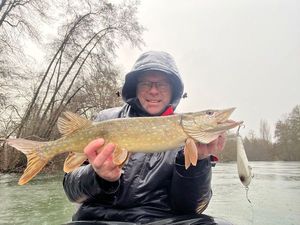 Northern Pike