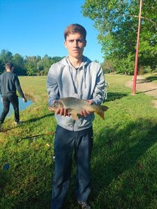 Common Carp