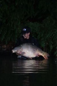 Mirror Carp