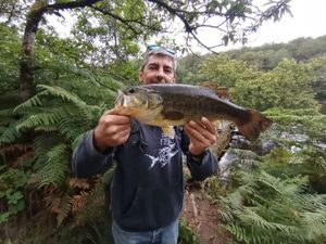 Smallmouth Bass
