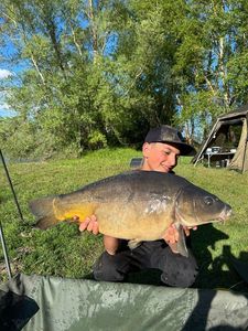 Mirror Carp