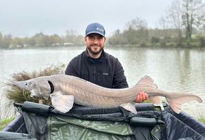 Sturgeon