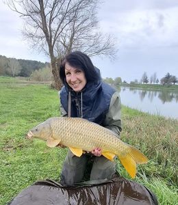 Common Carp