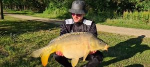 Mirror Carp