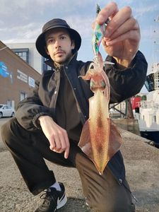 European Squid