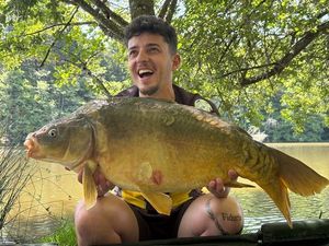 Mirror Carp