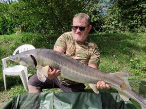 Sturgeon
