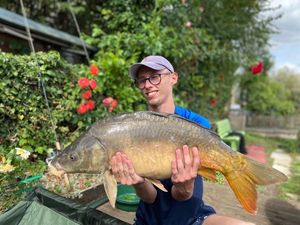 Mirror Carp