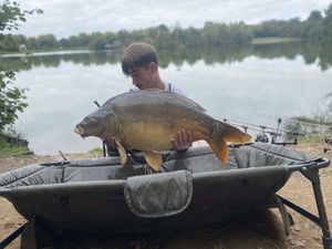Mirror Carp