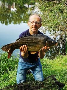 Common Carp
