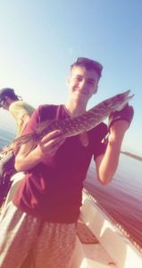 Northern Pike