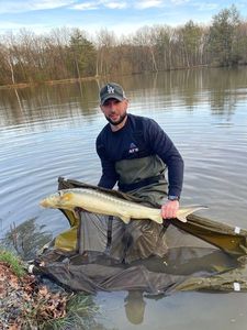 Sturgeon