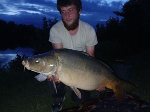 Mirror Carp