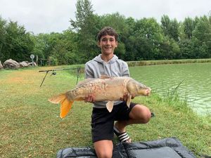 Mirror Carp