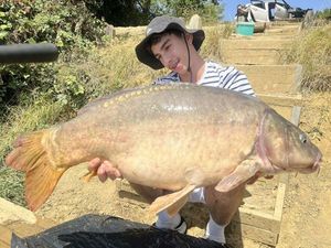 Mirror Carp