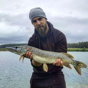 Northern Pike