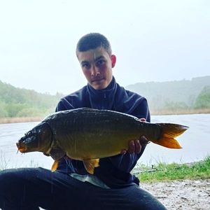 Mirror Carp