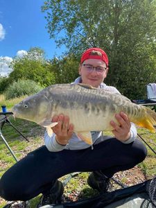 Mirror Carp