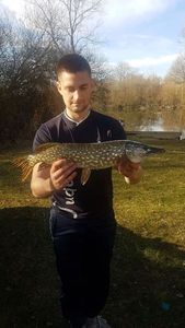 Northern Pike