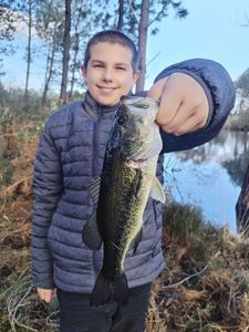 Largemouth Bass