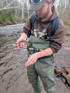 Brook Trout