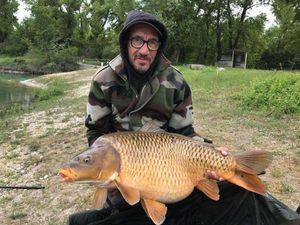 Common Carp