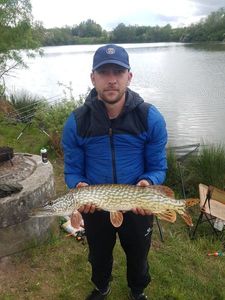Northern Pike