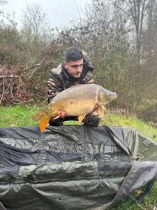 Mirror Carp