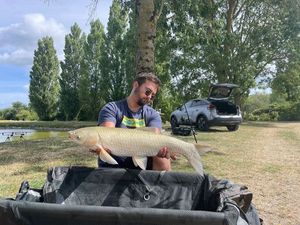 Grass Carp