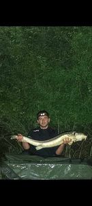 Sturgeon